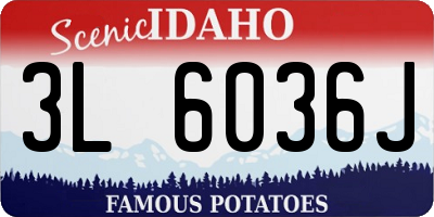 ID license plate 3L6036J