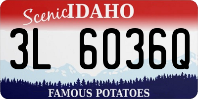 ID license plate 3L6036Q