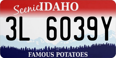 ID license plate 3L6039Y