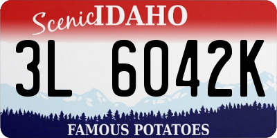 ID license plate 3L6042K