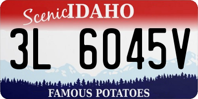 ID license plate 3L6045V