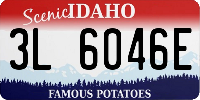ID license plate 3L6046E