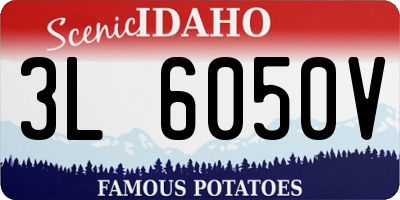 ID license plate 3L6050V