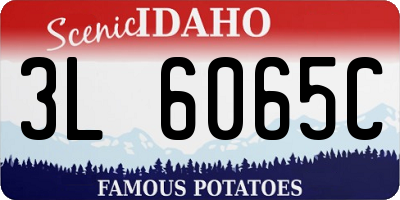 ID license plate 3L6065C