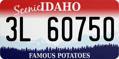ID license plate 3L6075O