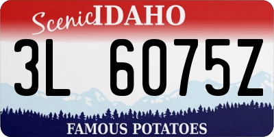 ID license plate 3L6075Z