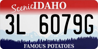 ID license plate 3L6079G