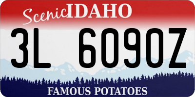 ID license plate 3L6090Z