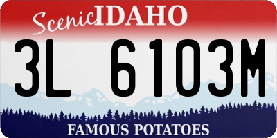 ID license plate 3L6103M