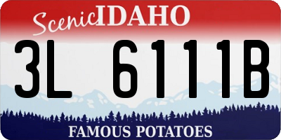 ID license plate 3L6111B