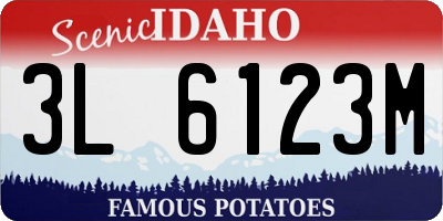 ID license plate 3L6123M