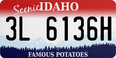 ID license plate 3L6136H