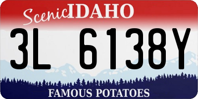 ID license plate 3L6138Y
