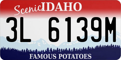 ID license plate 3L6139M