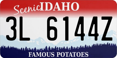 ID license plate 3L6144Z