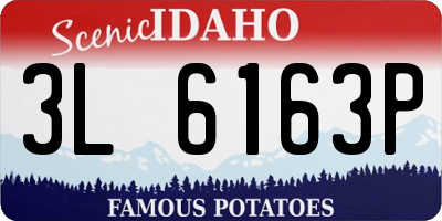 ID license plate 3L6163P
