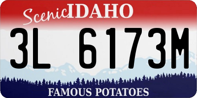 ID license plate 3L6173M