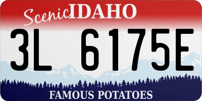 ID license plate 3L6175E