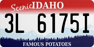 ID license plate 3L6175I