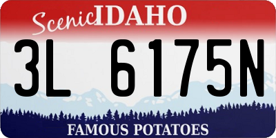 ID license plate 3L6175N