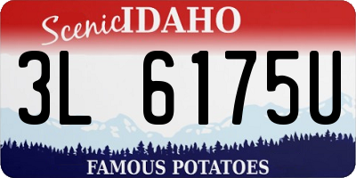 ID license plate 3L6175U
