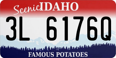 ID license plate 3L6176Q