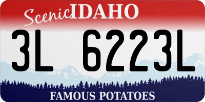 ID license plate 3L6223L
