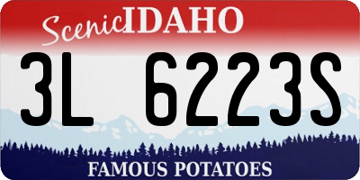 ID license plate 3L6223S