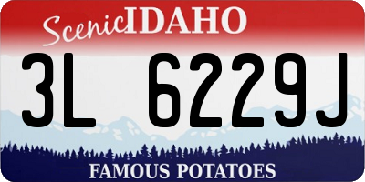 ID license plate 3L6229J