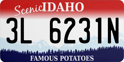 ID license plate 3L6231N