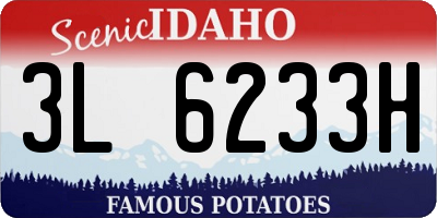 ID license plate 3L6233H