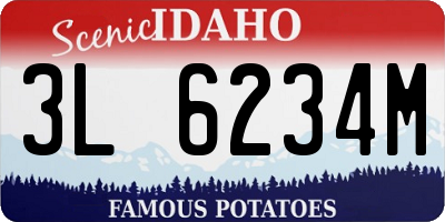 ID license plate 3L6234M