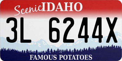 ID license plate 3L6244X