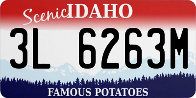 ID license plate 3L6263M