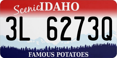 ID license plate 3L6273Q