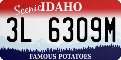 ID license plate 3L6309M