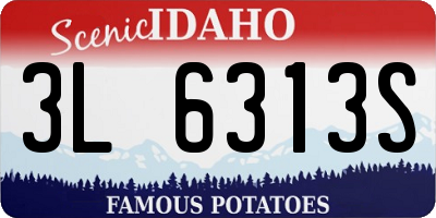 ID license plate 3L6313S