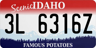 ID license plate 3L6316Z