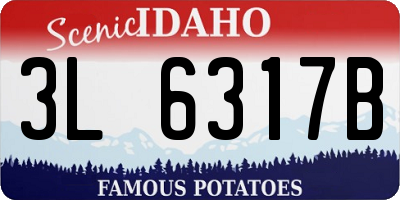 ID license plate 3L6317B