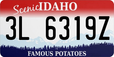 ID license plate 3L6319Z