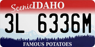 ID license plate 3L6336M