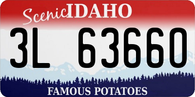 ID license plate 3L6366O