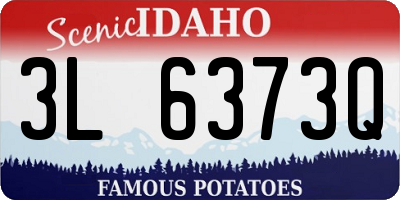 ID license plate 3L6373Q