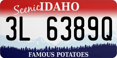 ID license plate 3L6389Q