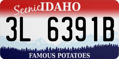 ID license plate 3L6391B