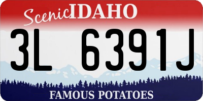 ID license plate 3L6391J