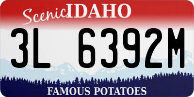 ID license plate 3L6392M