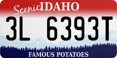 ID license plate 3L6393T