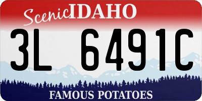 ID license plate 3L6491C