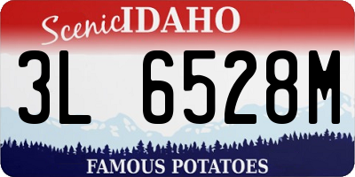 ID license plate 3L6528M